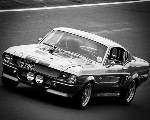 Photograph Ford Shelby GT500