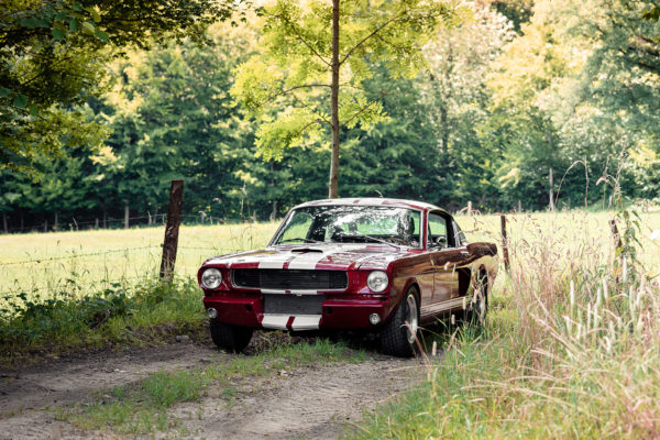 Shelby GT350 Photograph