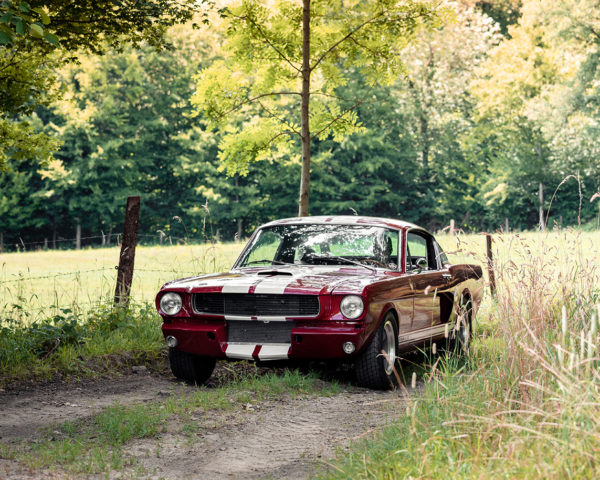 Shelby GT350 Photograph