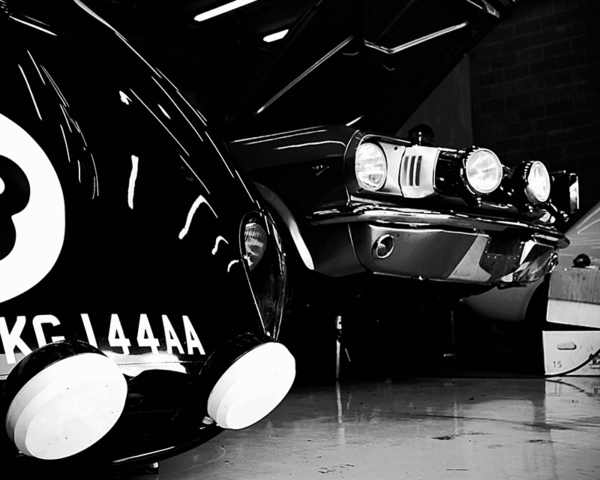 Fine Art Prints - Jaguar Type E & Ford Mustang - Cars and Roses