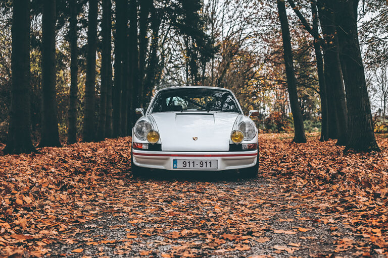 Silver classic Porsche parked on a leaf-covered forest path, autumn tones, front view with yellow headlights.