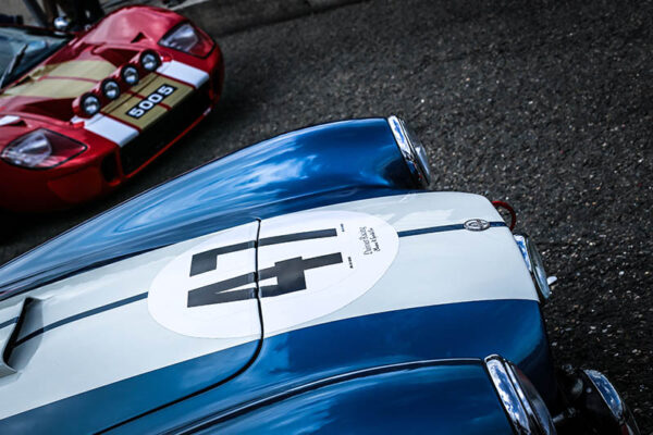 AC Cobra Wall Print