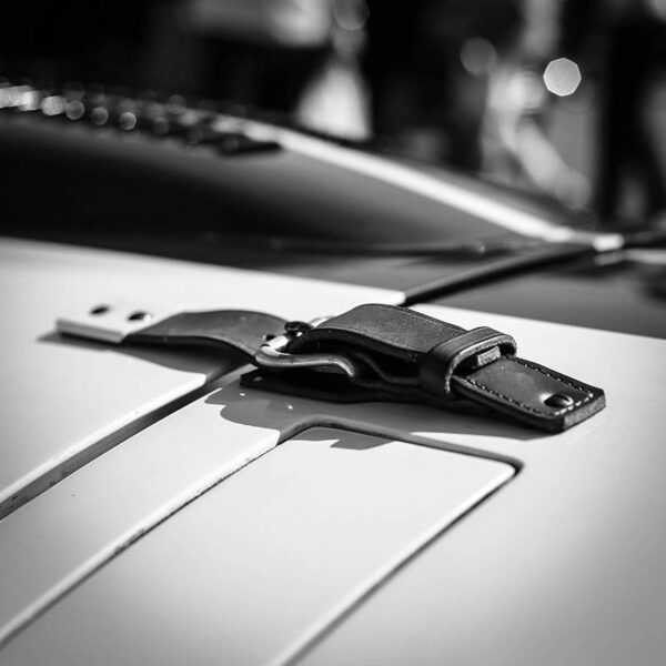 Canvas Picture Car Detail