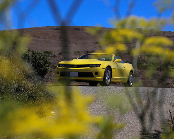 Canvas Print Chevrolet Camaro