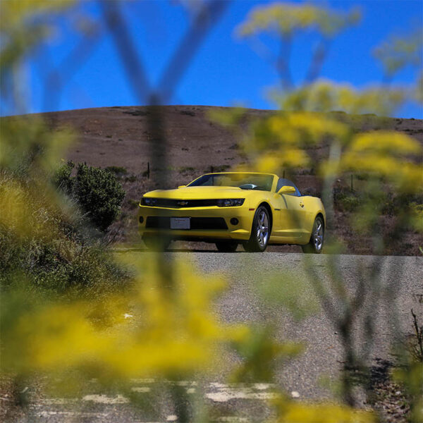 Canvas Print Chevrolet Camaro