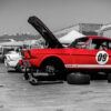 Deco Wall prints Ford Mustang Deco wall prints Ford Mustang