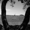 Decorative Photo Porsche Targa Decorative Photo Porsche Targa