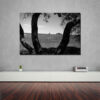 Decorative Photos Porsche Targa Decorative Photos Porsche Targa