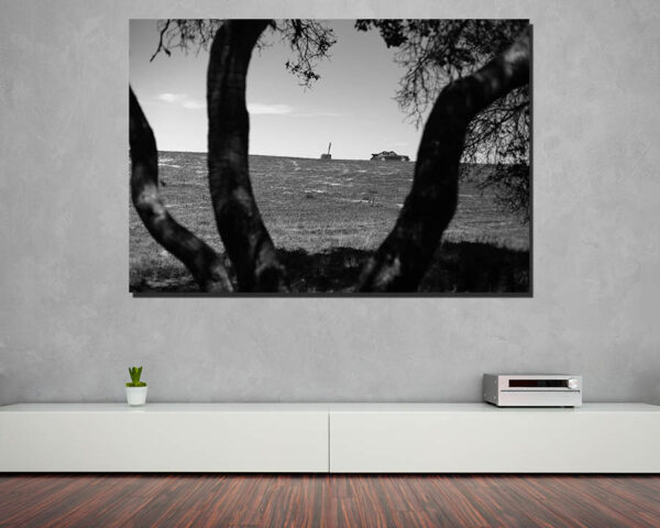 Decorative Photos Porsche Targa