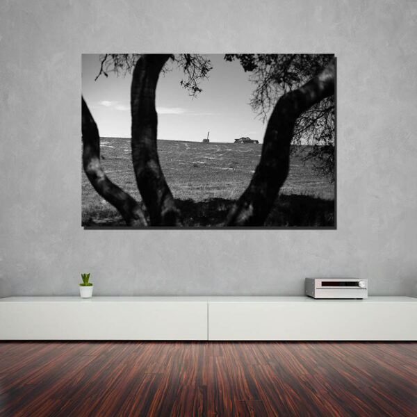 Decorative Photos Porsche Targa Decorative Photos Porsche Targa