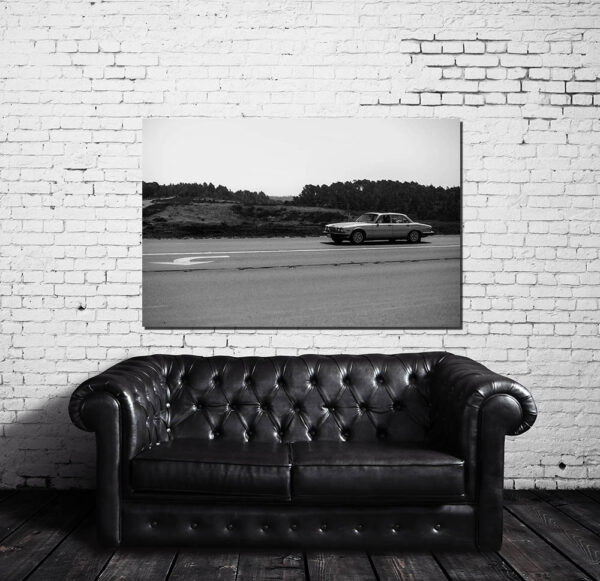 Decorative Prints Old Jaguar Decorative Prints Old Jaguar