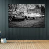 Familly Porsche Photographs Familly Porsche Photographs
