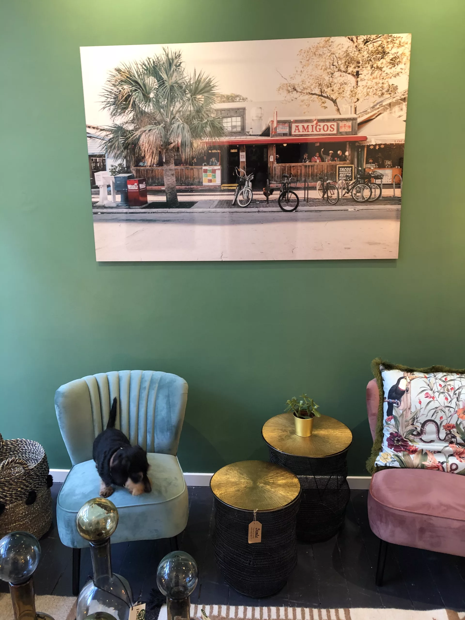 Street storefront window with car photography print on display — Cars and Roses