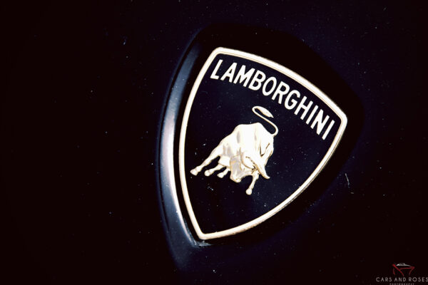 Lamborghini Logo