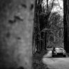 Wall Decorative Photograph Porsche 911