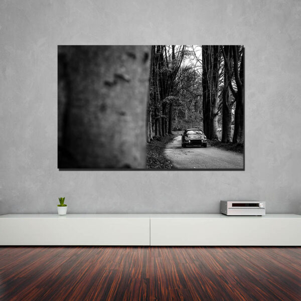 Wall Decorative Photographs Porsche 911