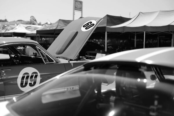 Photo Car Print Mustang