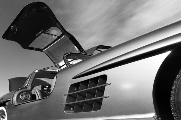 300 SL Door