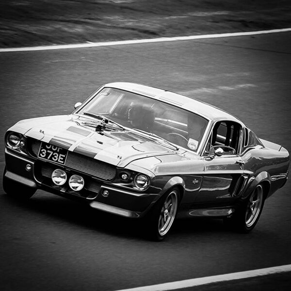 Photograph Ford Shelby GT500