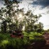 Photograph Lost Car Australia