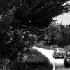 Photograph Wall Print Alfa Romeo Photograph Wall Print Alfa Romeo