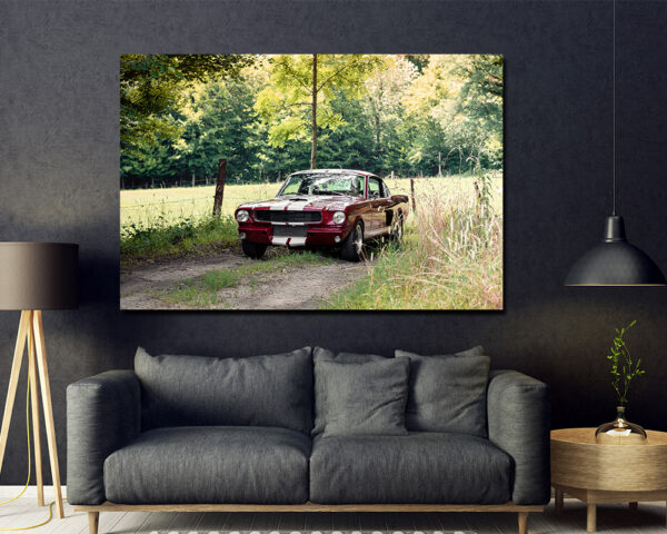 Shelby GT350 Photographs