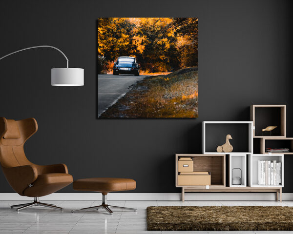 Porsche 911 Photograph Autumn
