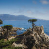 Photograph The Lone Cypress Pebble Beach Photograph The Lone Cypress Pebble Beach