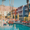 Photograph The Saguaro Palm Spring Photograph The Saguaro Palm Spring