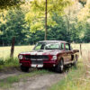 Shelby GT350 Photograph