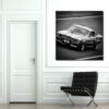 Photographs Ford Shelby GT500 Photographs Ford Shelby GT500