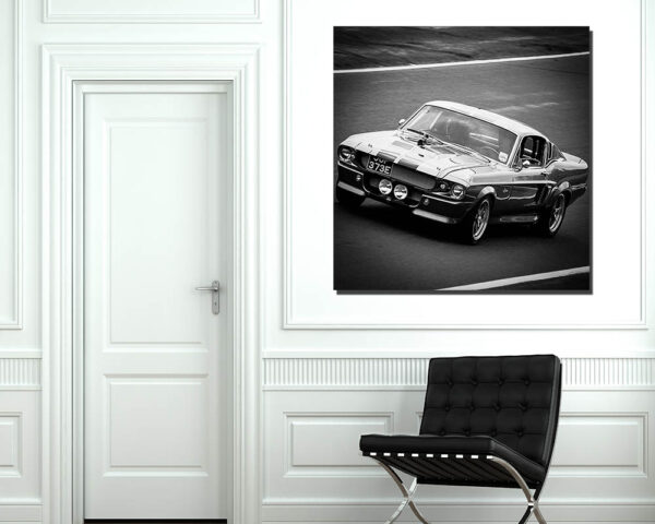 Photographs Ford Shelby GT500