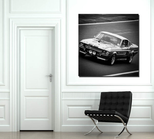 Photographs Ford Shelby GT500 Photographs Ford Shelby GT500