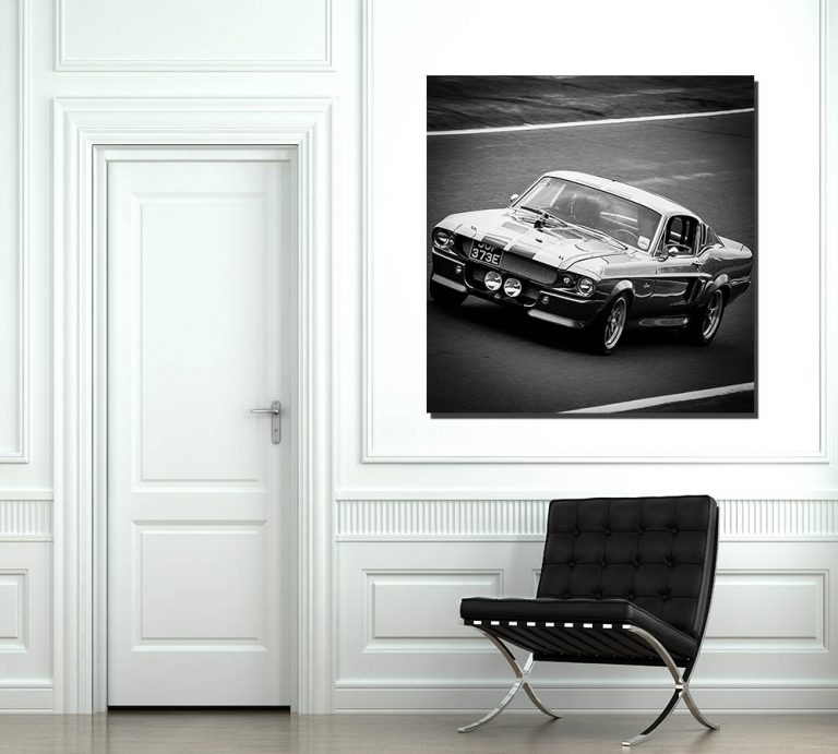 Photographs Ford Shelby GT500