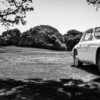 Porsche 911 Classic Photograph