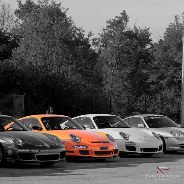 Porsche Family