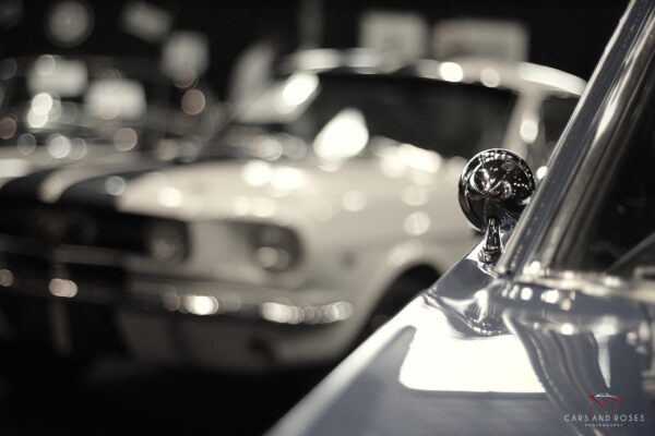 Canvas Ford Mustang