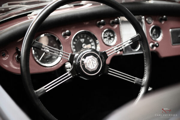 Dashboard Morgan (MG)