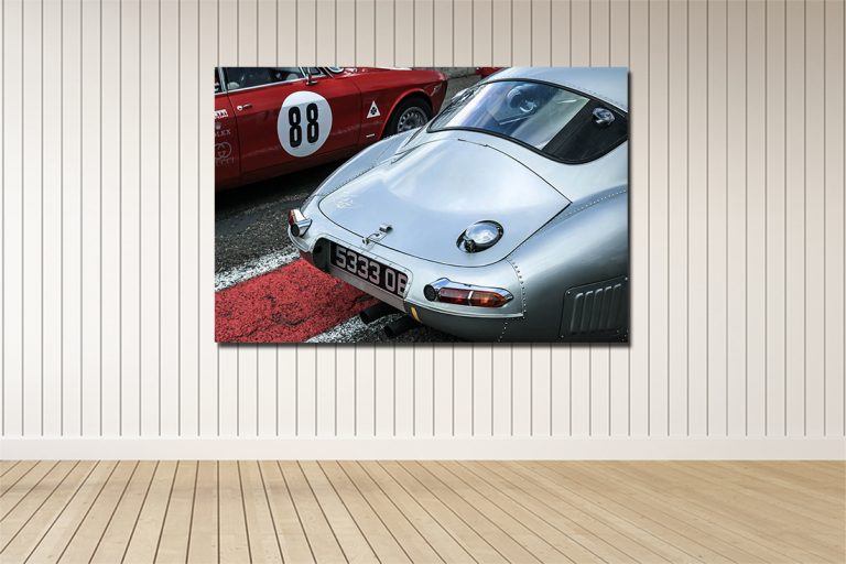 Tableau Photo Jaguar Type-E