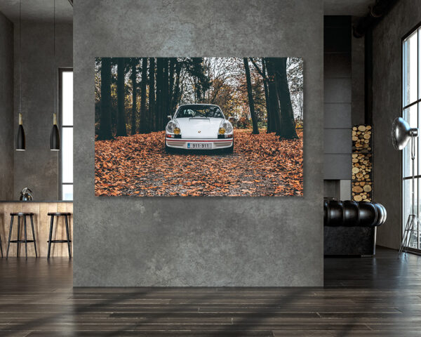 Photo Porsche 911 Carrera RS Fall - Image 2