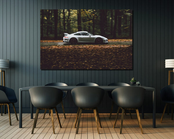 Porsche 991 GT3 Photographs