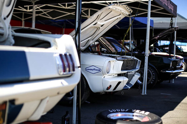 Wall Photograph Ford Mustang