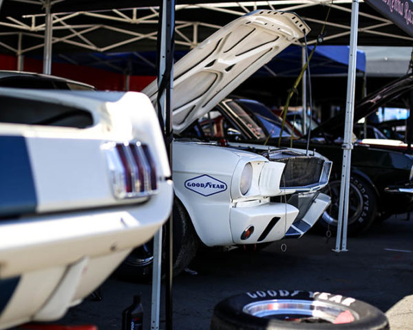 Wall Photograph Ford Mustang