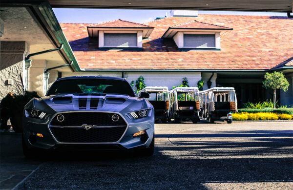 Wall Photograph Ford Mustang