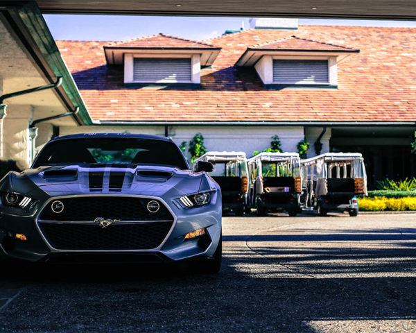 Wall Photograph Ford Mustang