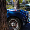 Wall Photograph Jaguar XK Wall Photograph Jaguar XK