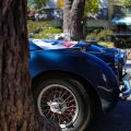 Wall Photograph Jaguar XK