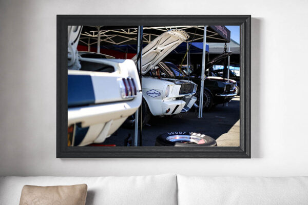 Wall Photographs Ford Mustang Wall Photographs Ford Mustang