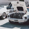 Photograph Race Ford Mustang Photograph Race Ford Mustang